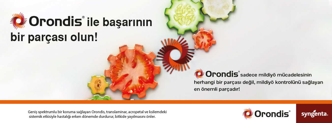 Orondis banner