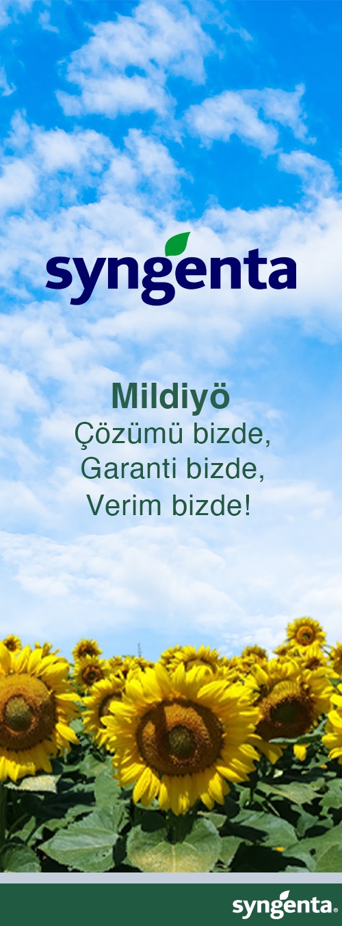 Dikey Banner