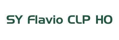 flavio_clp