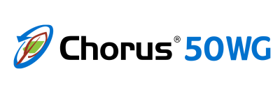 chorus