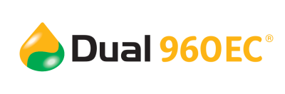 dual 960 ec