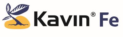 Mavi yapraklı sarı kuş logosu yanında “Kavin Fe” yazısı