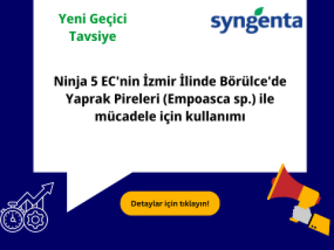 ninja_5ec_bor