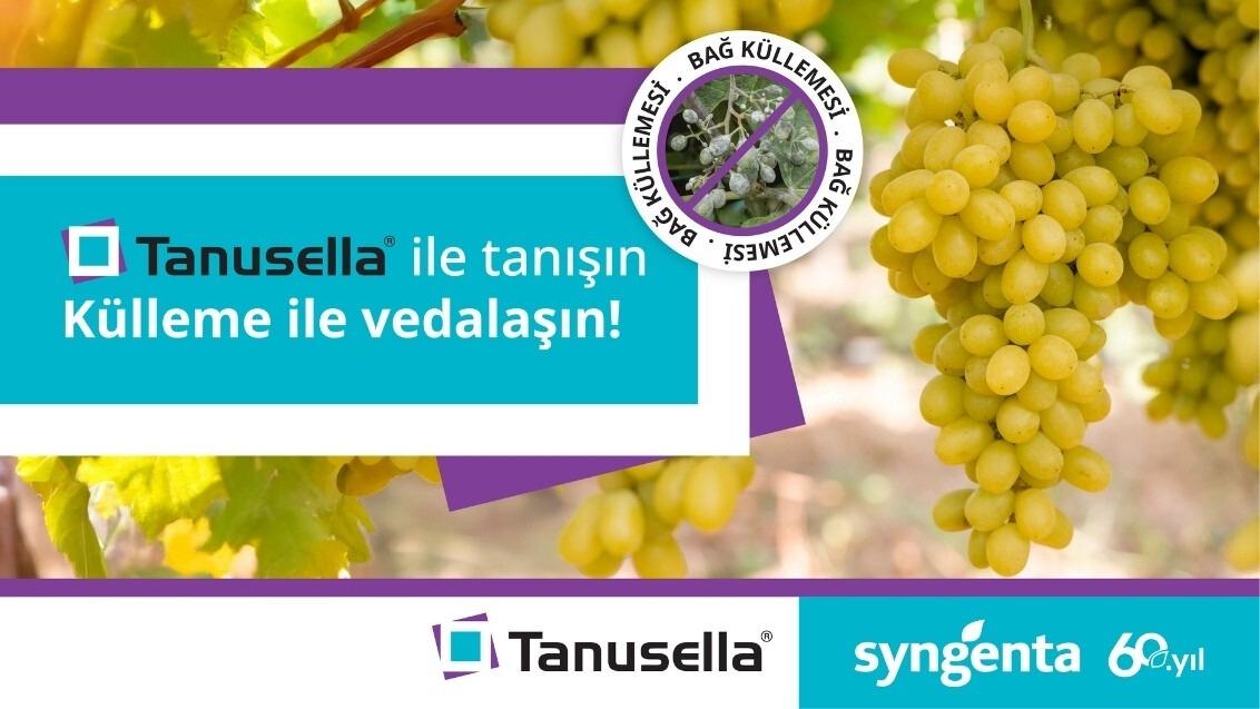 Tanusella Web Banner