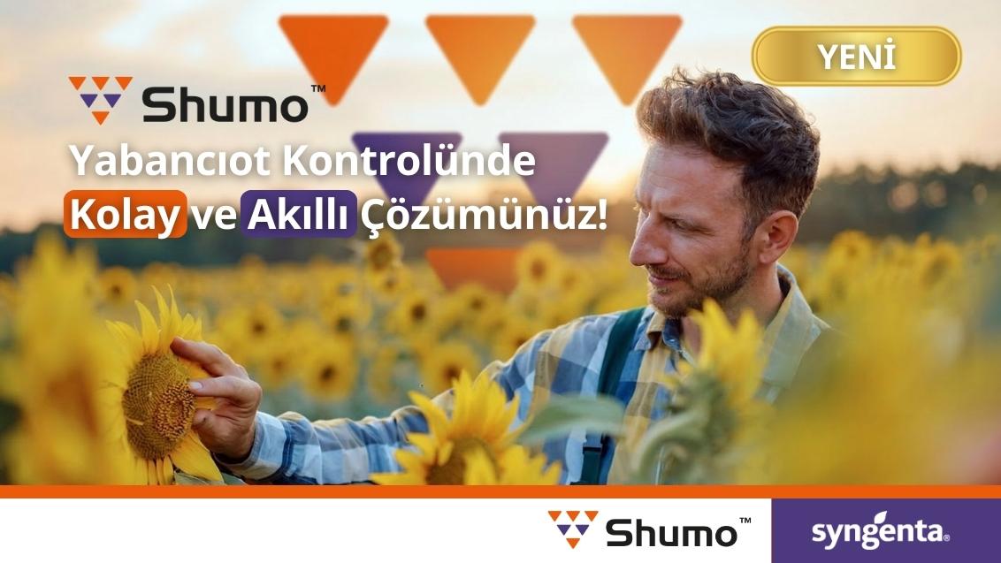 Shumo aycicegi banner