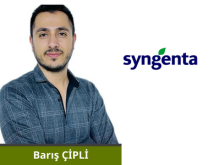 BARIS CIPLI
