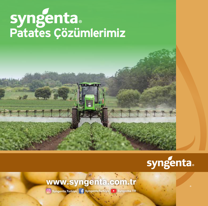 Patates Çözümleri Banner