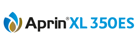 aprin XL 350ES