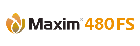 Maxim 480 FS
