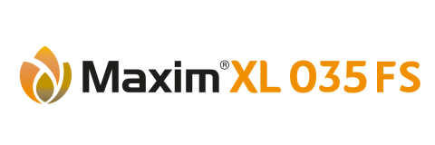 MaximXL 035 FS