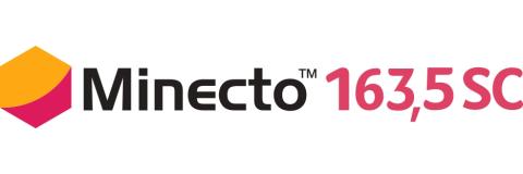 Minecto 163.5