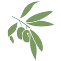Zeytin