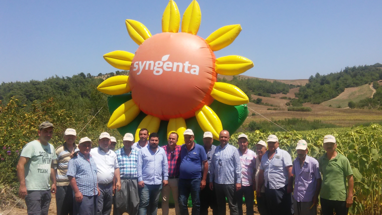 Güney Bölge’de Mısır ve Ayçiçeği Tarla Günleri