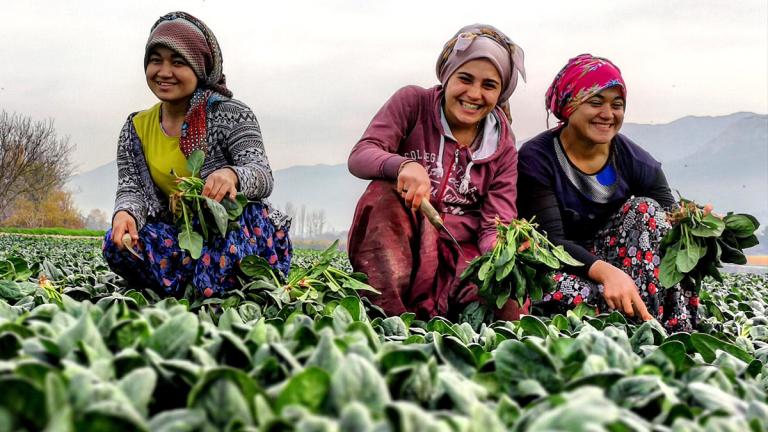 8 mart dünya kadınlar günü