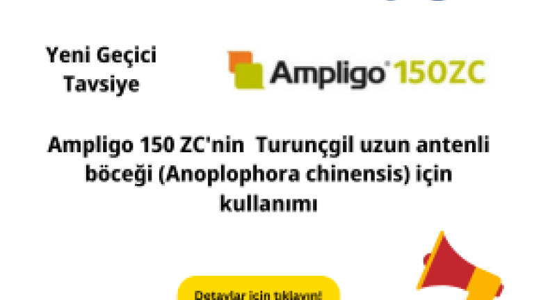 ampligo 150 ZC