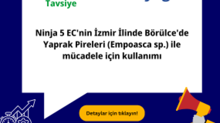 ninja_5ec_bor