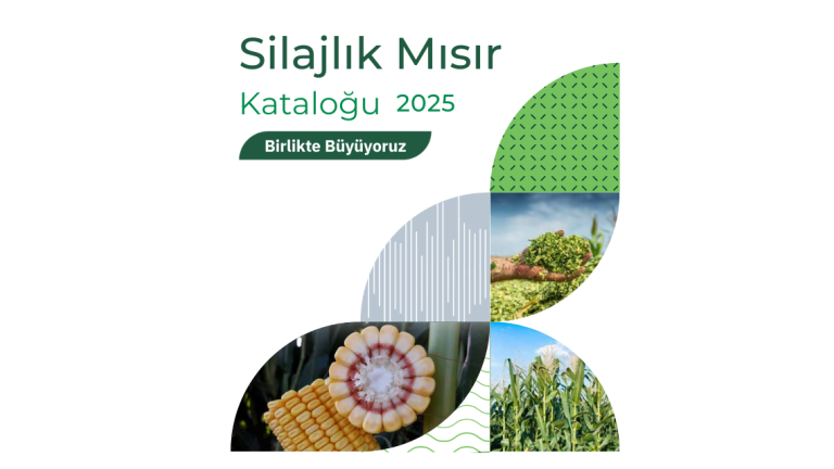 Silajlık Mısır Kataloğu