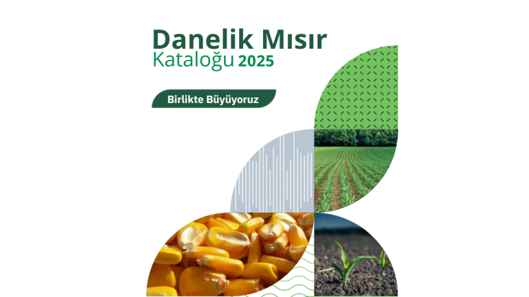 Danelik Mısır Kataloğu