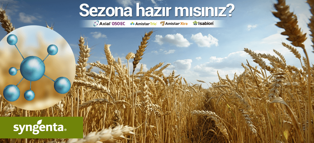Buğday İlaçlama