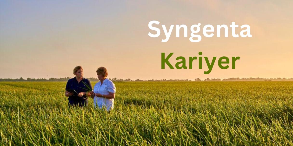 Syngenta Kariyer