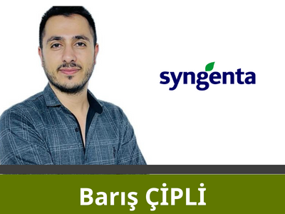 Barıs Cipli
