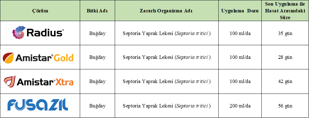 Syngenta Septorya Çözümleri