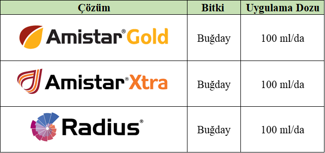 septorya çözümleri