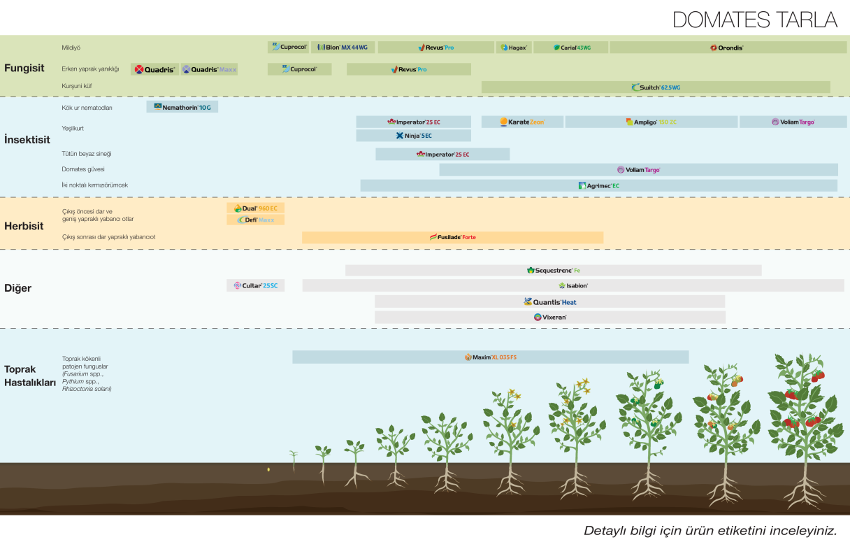 domates_tarla_spray_program.png