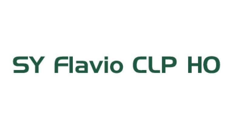 flavio_clp