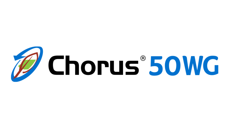 chorus