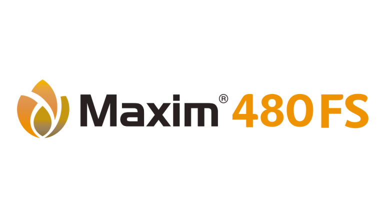Maxim 480 FS