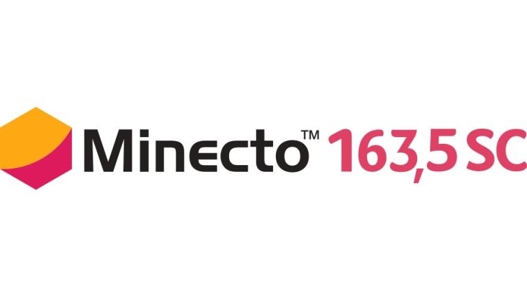 Minecto 163.5